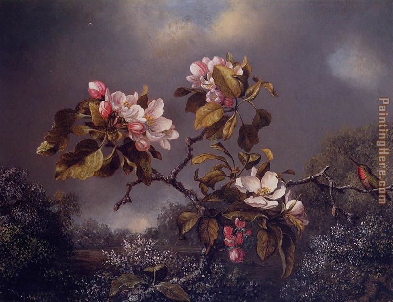 Apple Blossoms and Hummingbird  2 painting - Martin Johnson Heade Apple Blossoms and Hummingbird  2 art painting